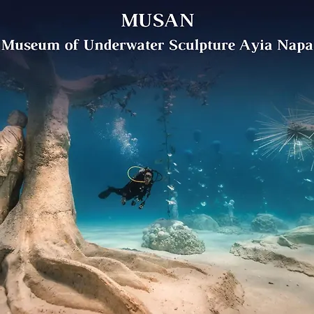 빌라 Napa Seaview - 7